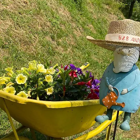 Bb Andre' Vara Superiore