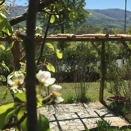 Bb Andre' Vara Superiore