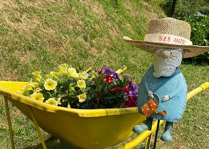 Bb Andre' Vara Superiore